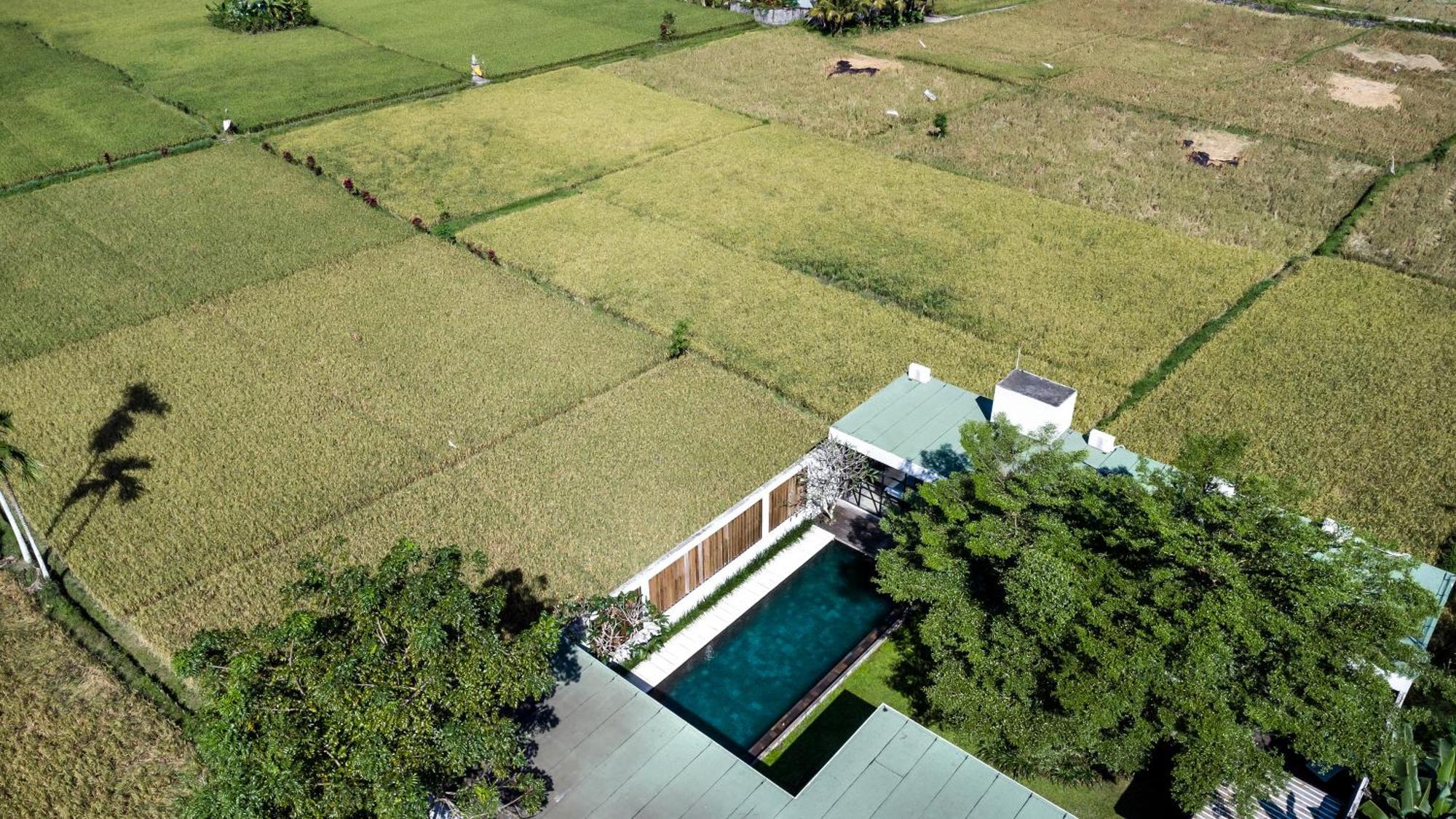 Loft Matahari By Balisuperhost Villa อูบุด ภายนอก รูปภาพ